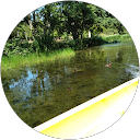 madhumati sharma profile picture